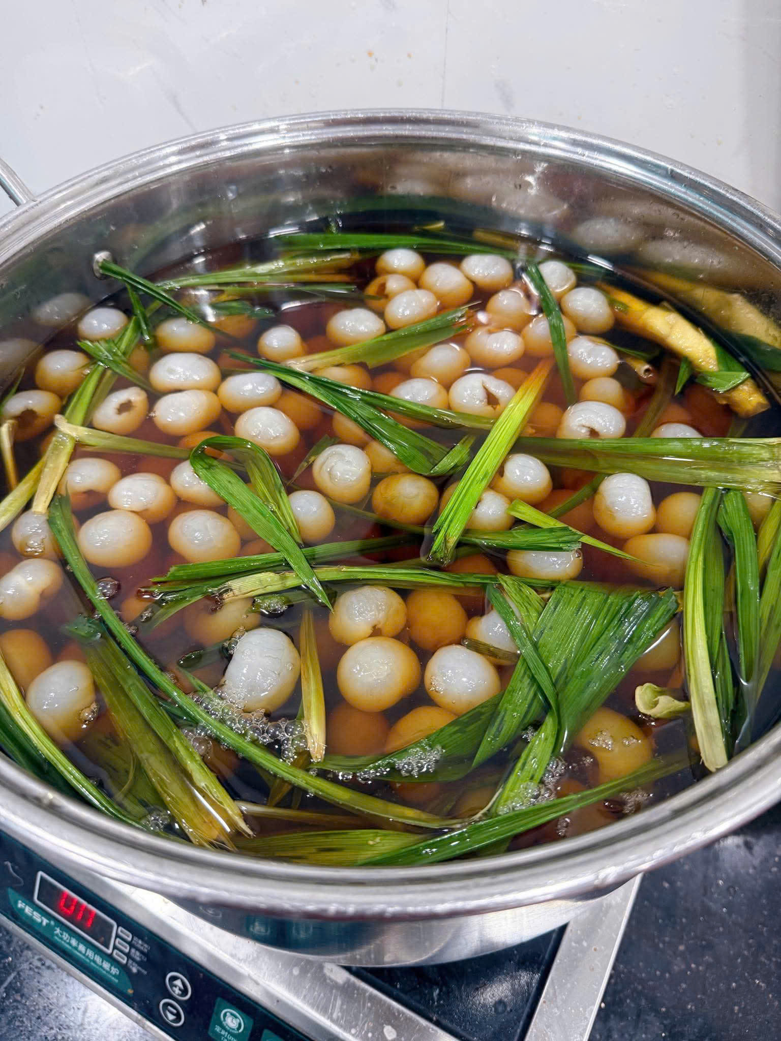 Matcha Gấu Nhỏ